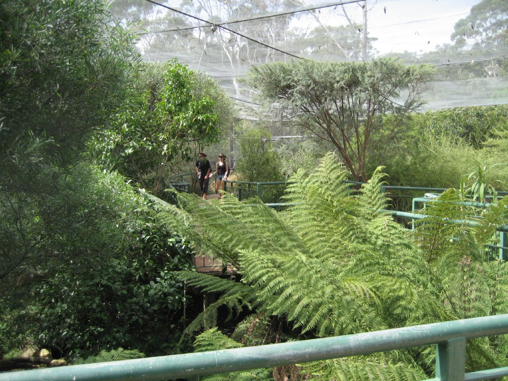 Forest Aviary interior