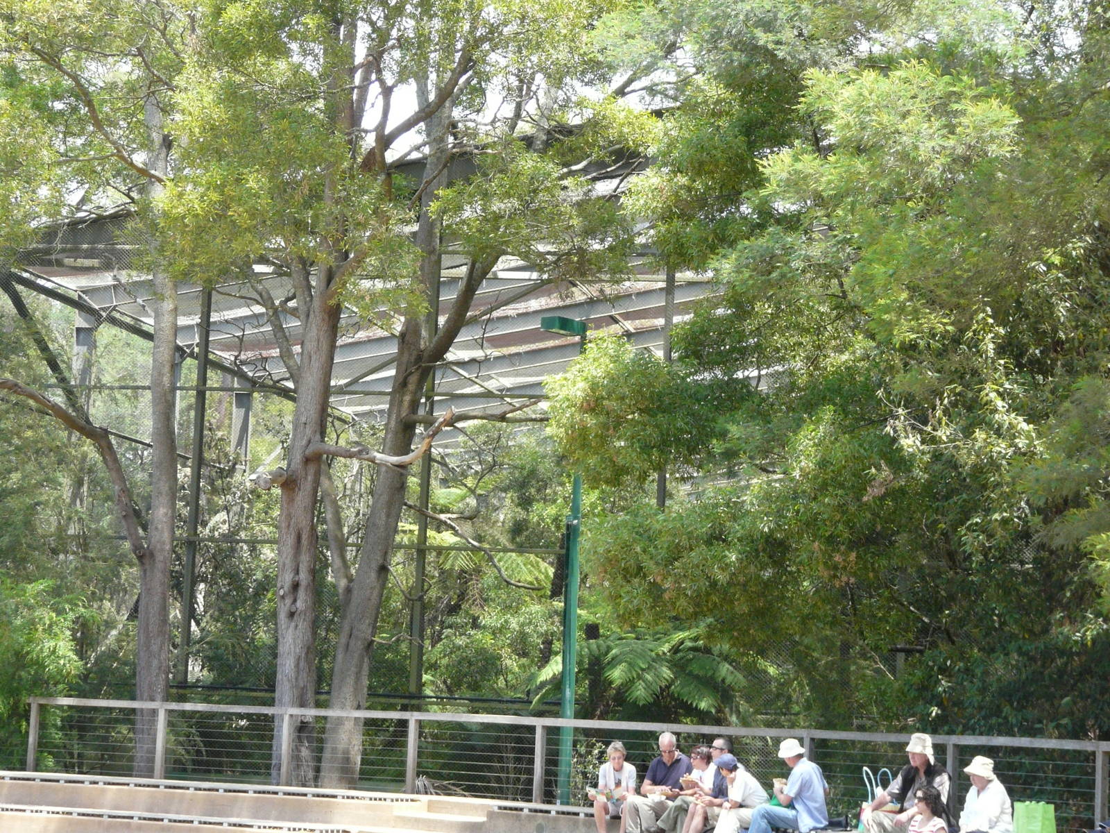 Forest aviary seen from flight display arena