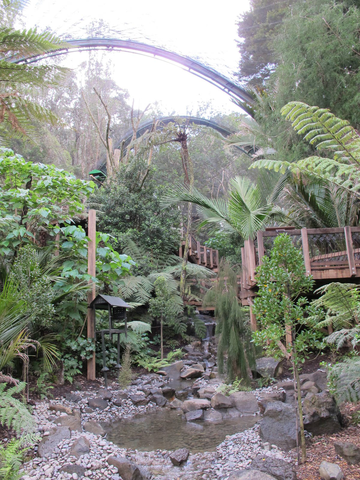 Forest Aviary - Te Wao Nui, Auckland Zoo 2011