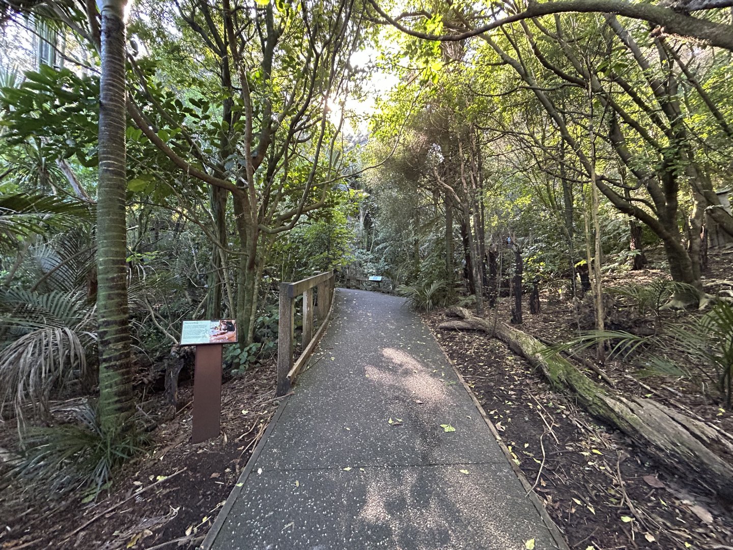 Forest Aviary - Te Wao Nui