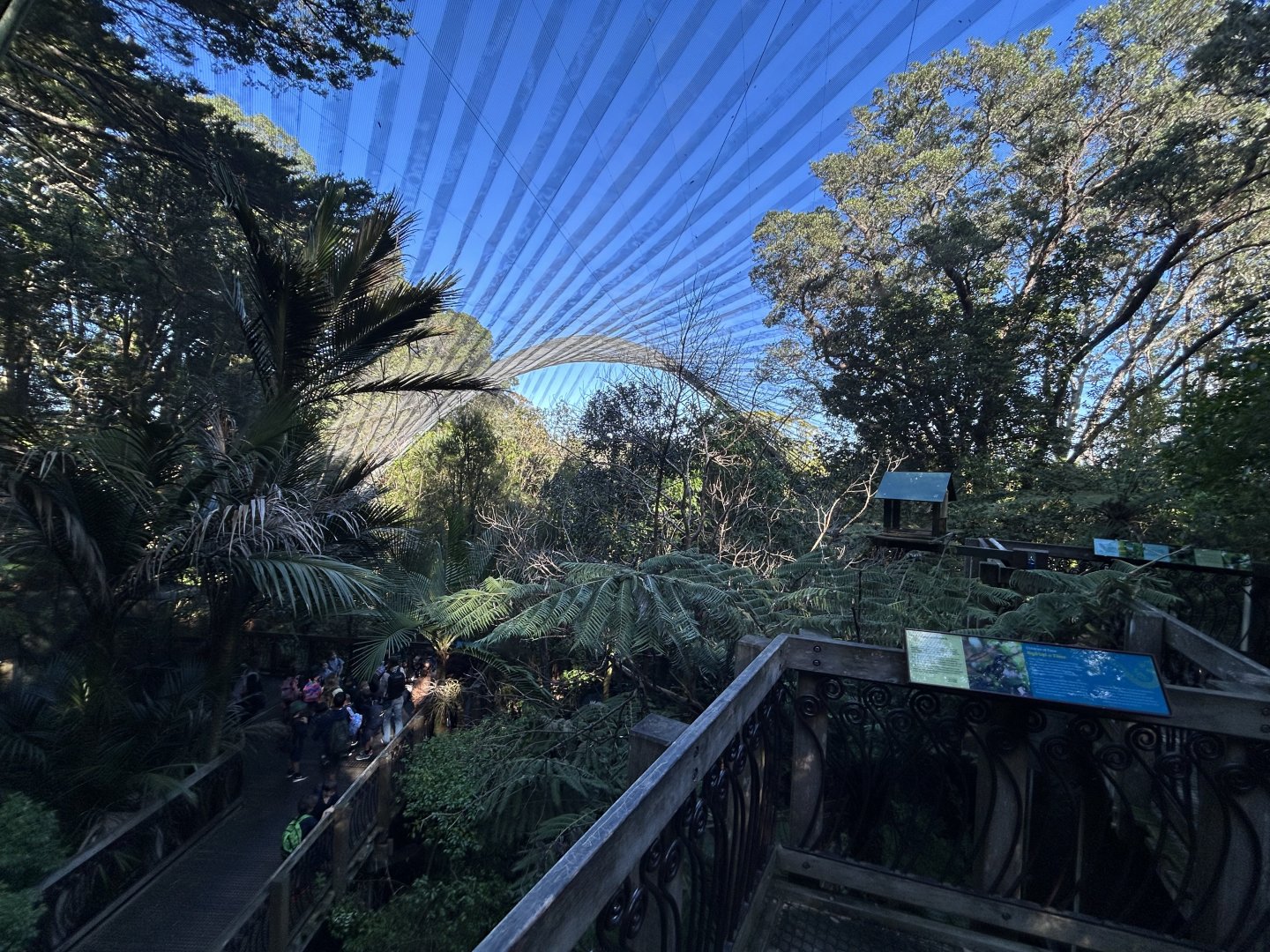 Forest Aviary - Te Wao Nui