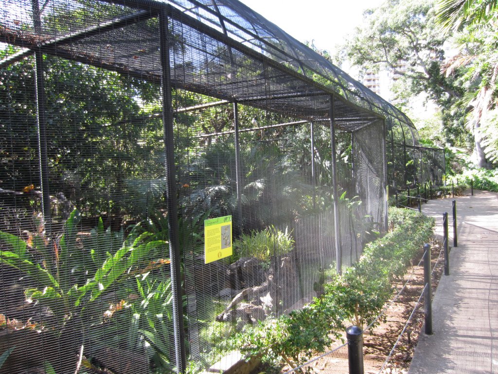Forest Bird Aviary