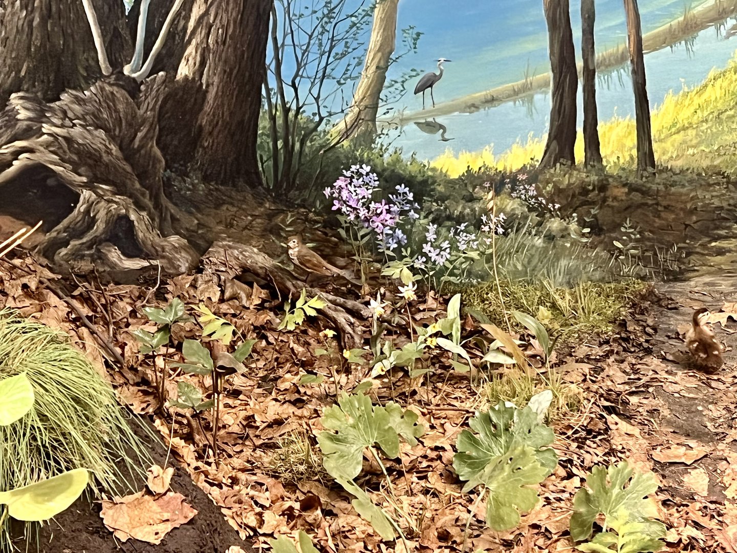 Forest Birds Diorama