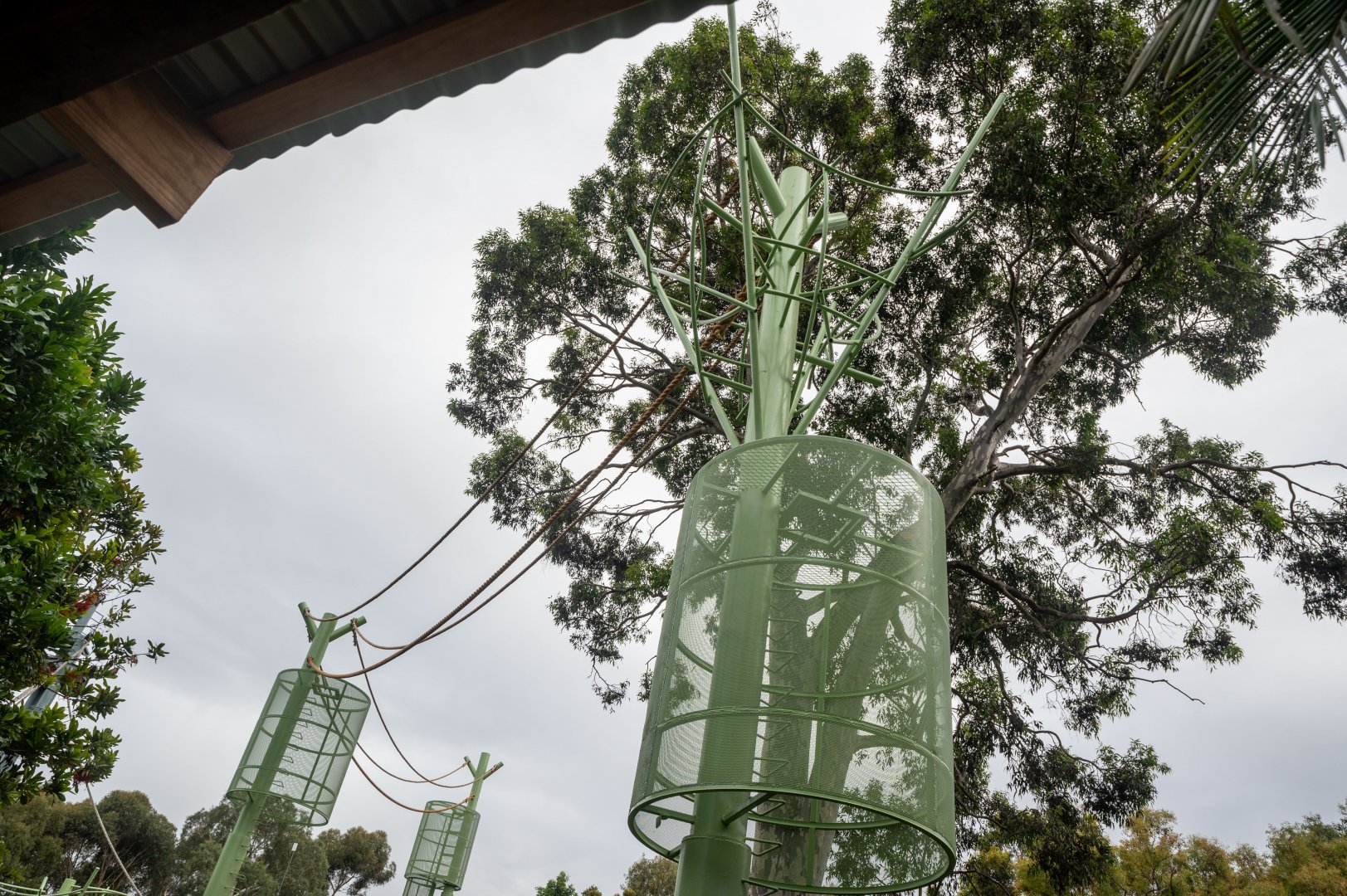 Forest Canopy Trail: Orangutan Exhibit