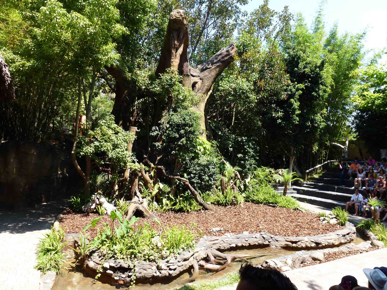 Forest clearing (show arena), July 2013.