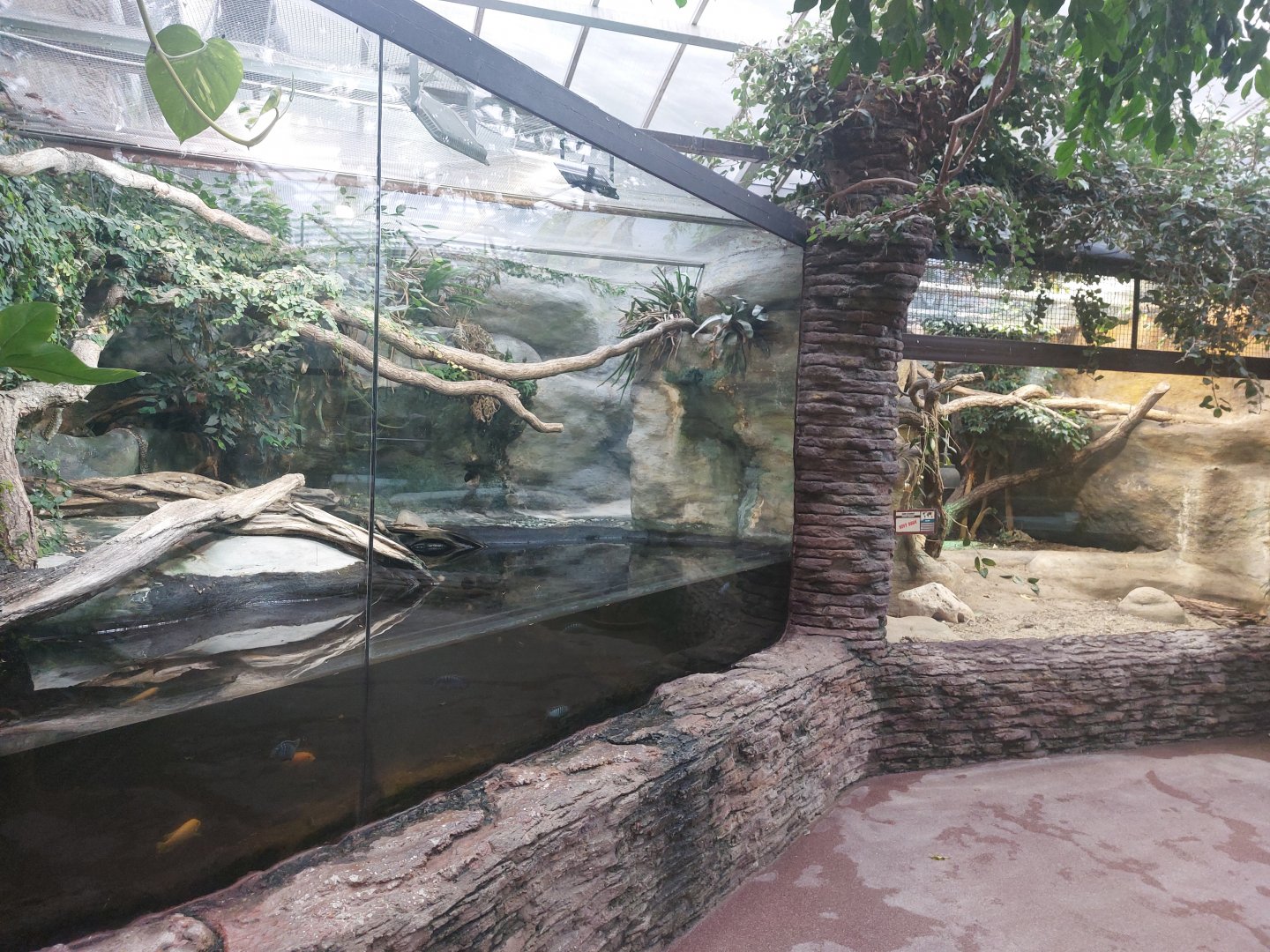 Forest cobra & savanna monitor lizard terraria