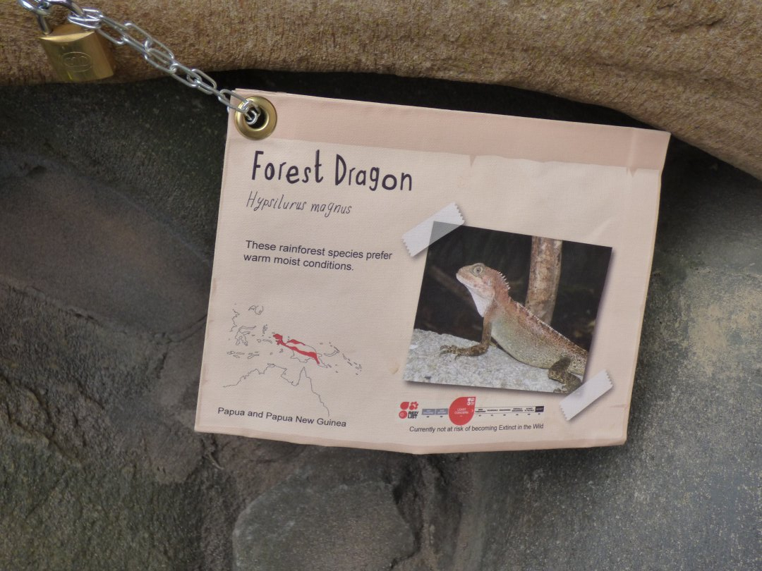 Forest Dragon Signage