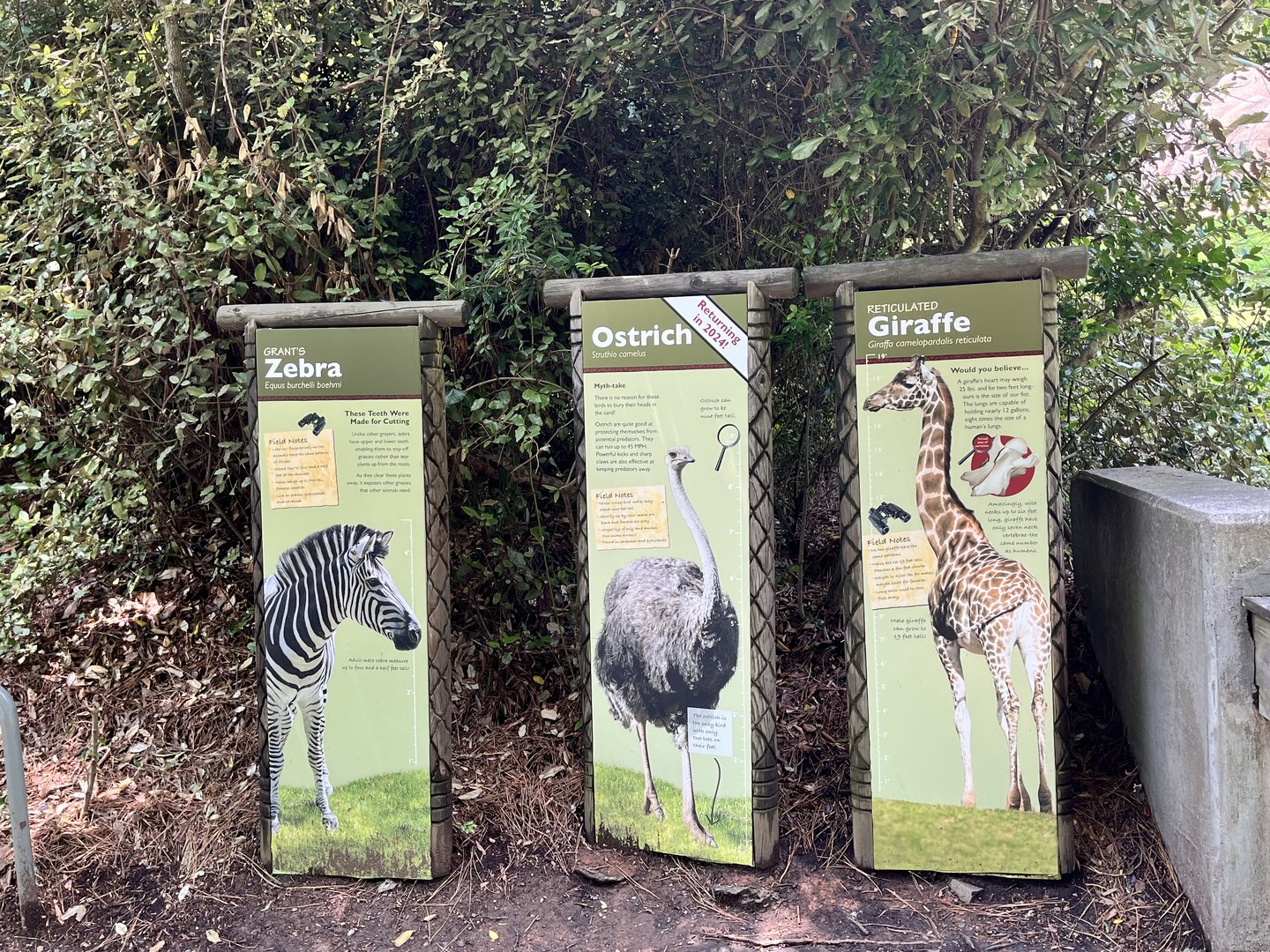 Forest Edge Animals and Signs