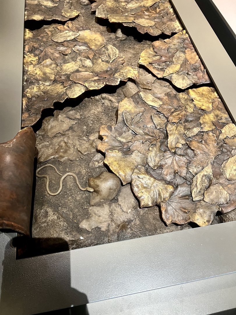 Forest Floor Leaf Litter Display