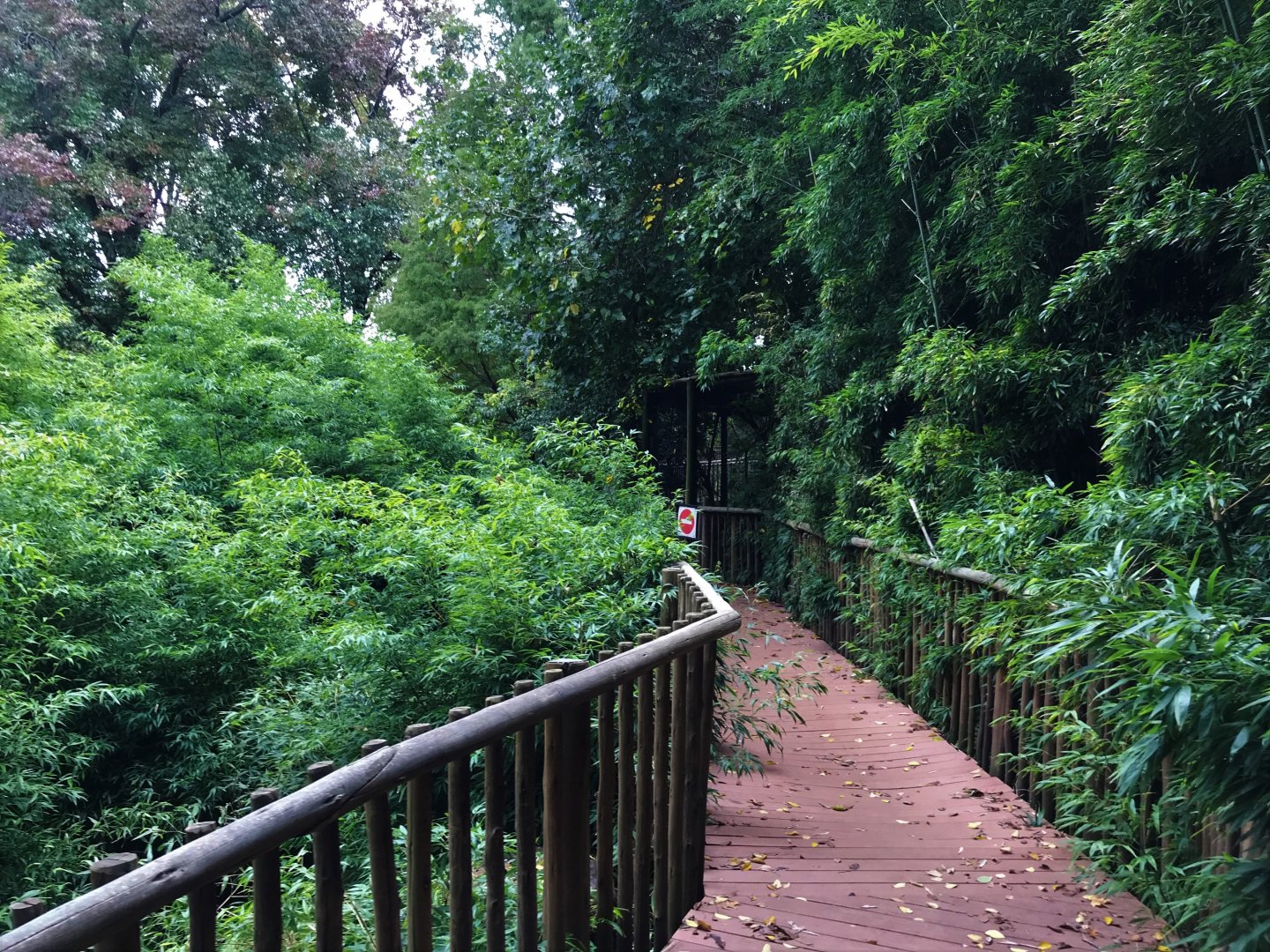 Forest Floor Section