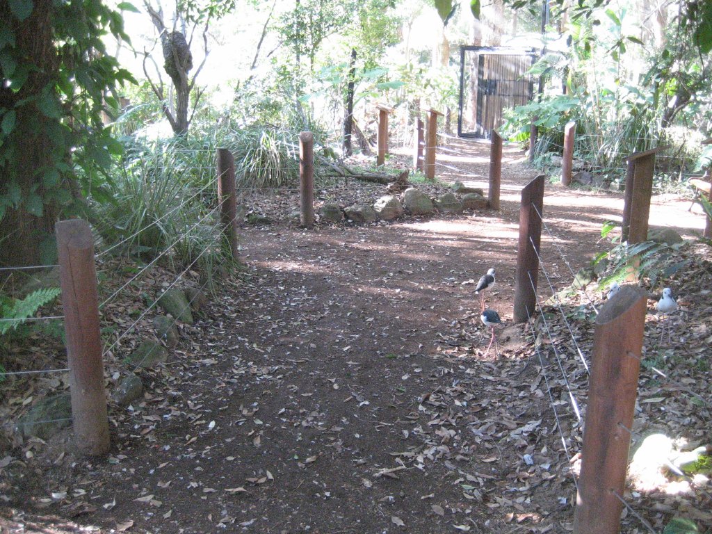 Forest Fringe Aviary interior