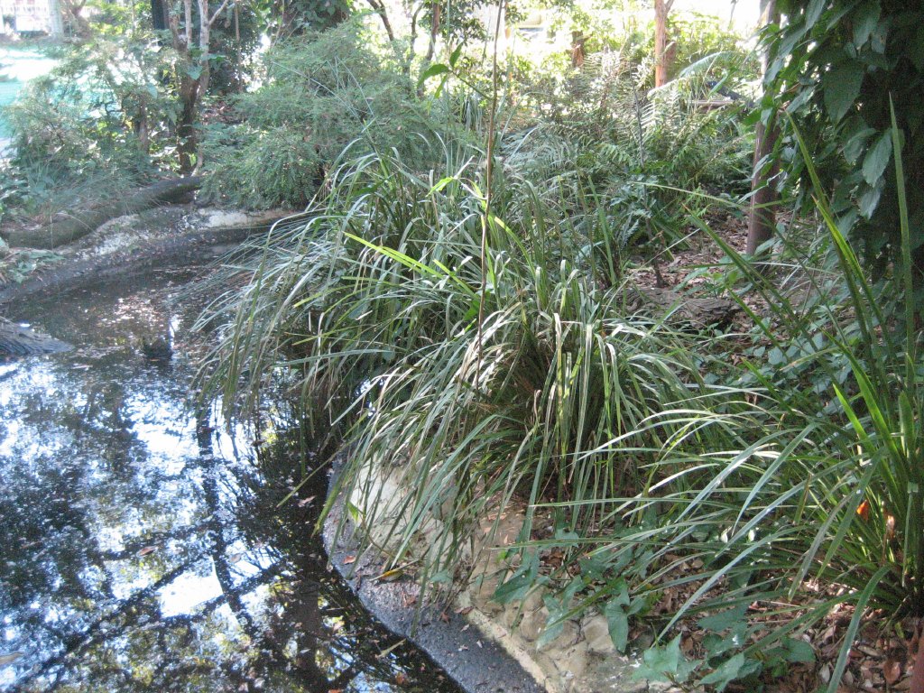 Forest Fringe Aviary interior