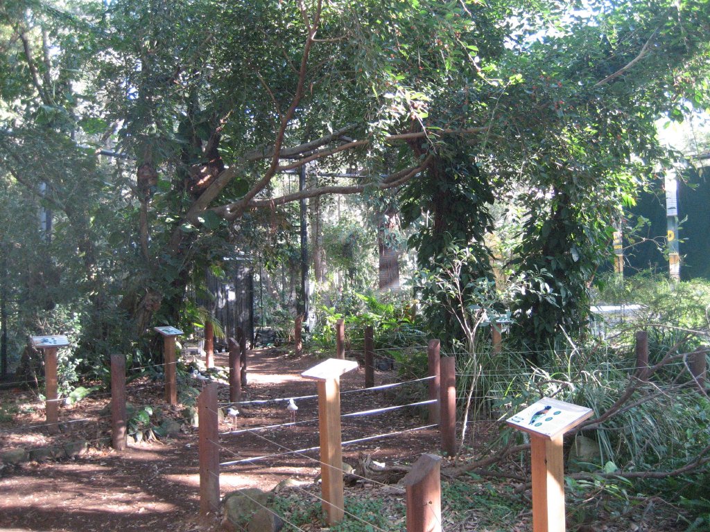 Forest Fringe Aviary interior