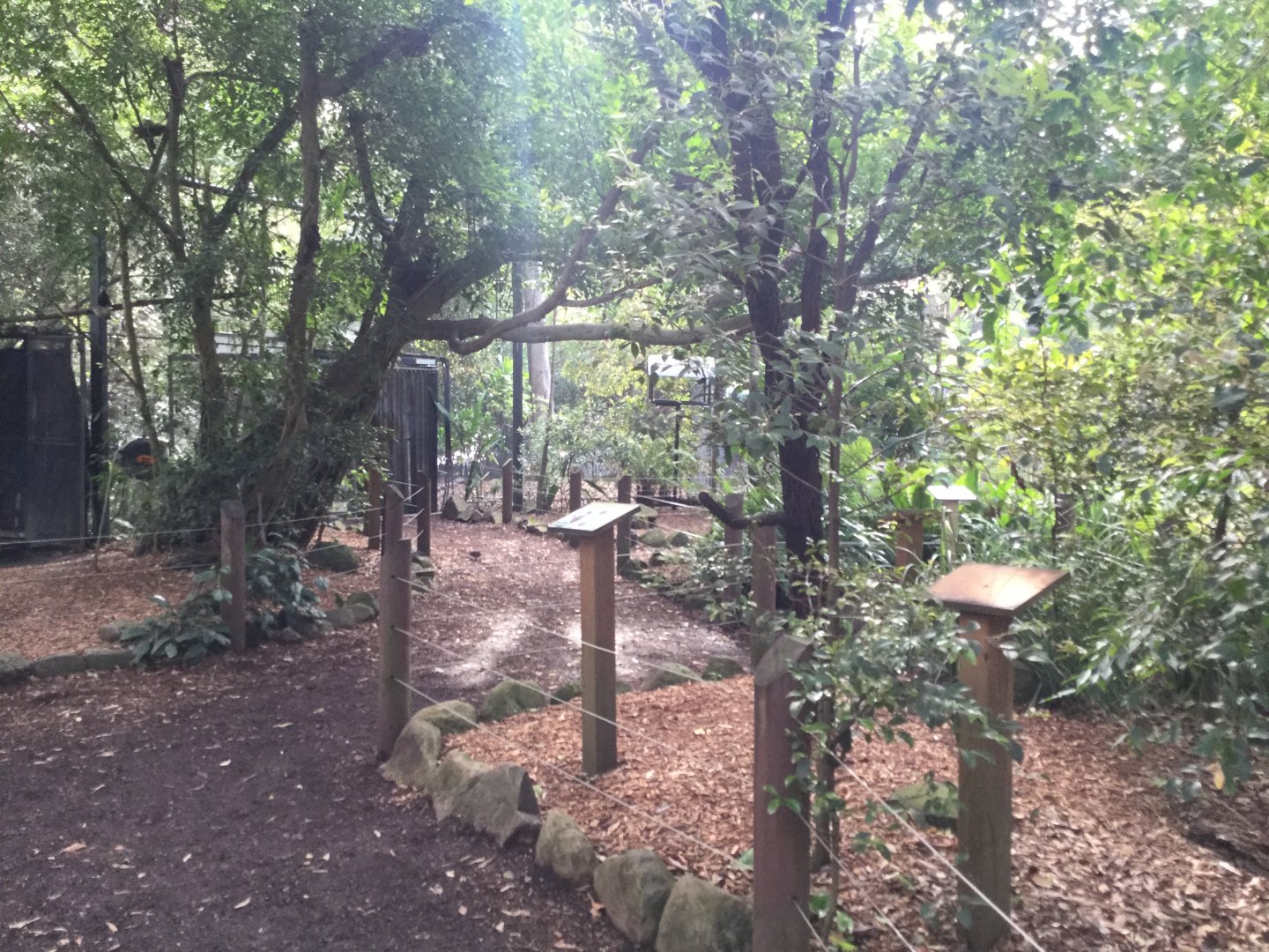 Forest Fringe Aviary Interior
