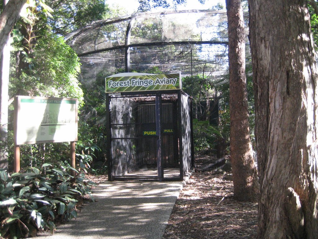 Forest Fringe Aviary