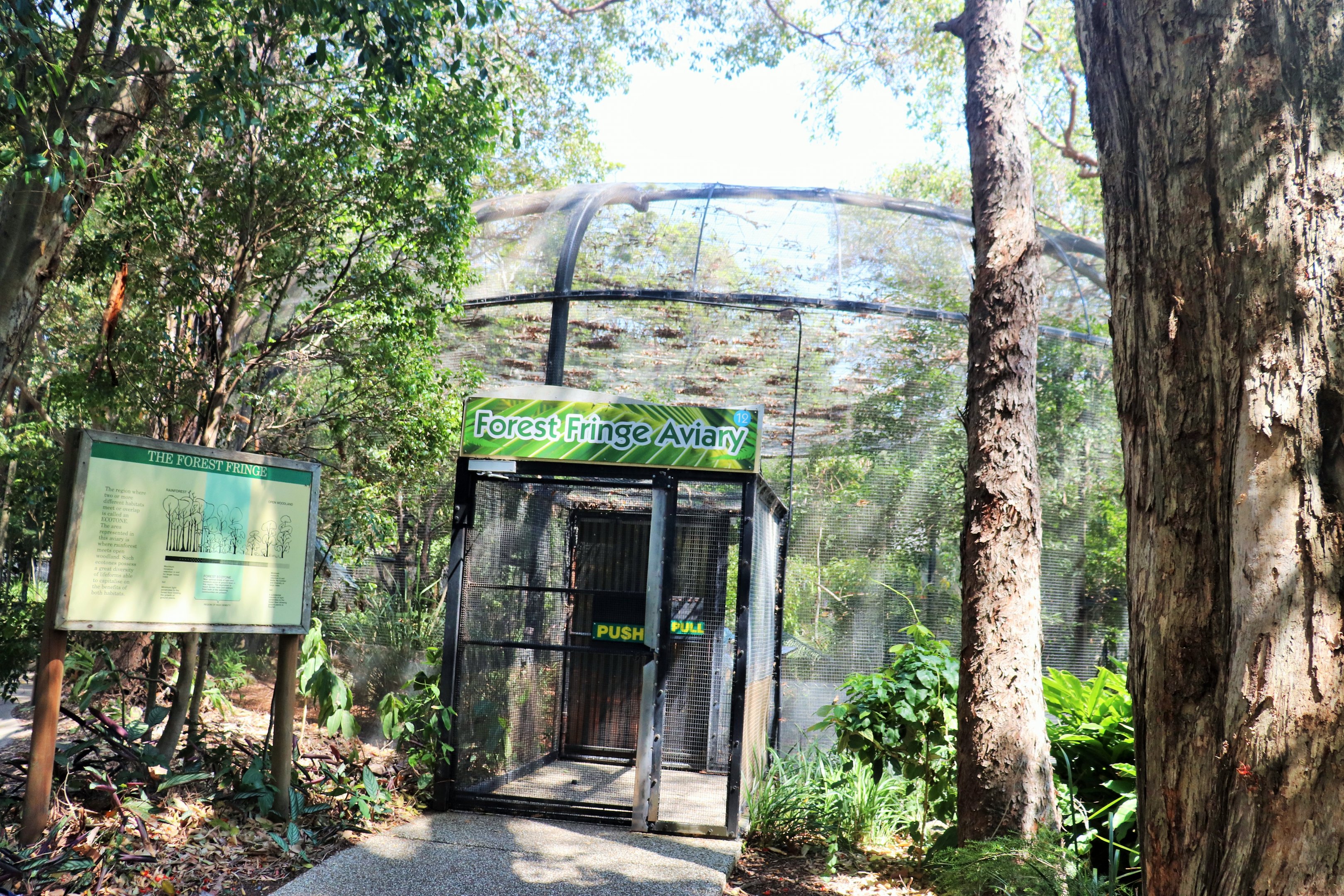 Forest Fringe Aviary