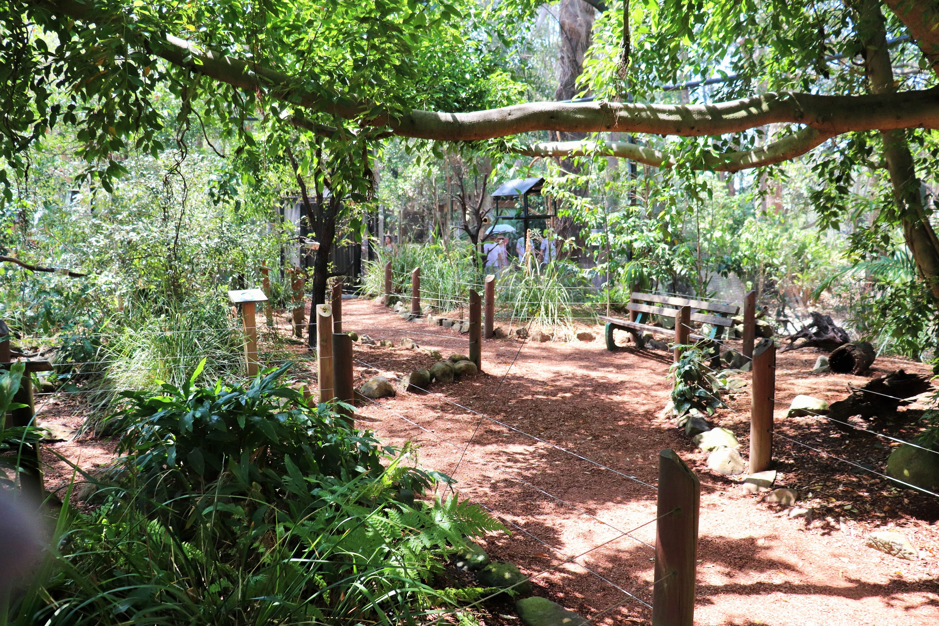 Forest Fringe Aviary