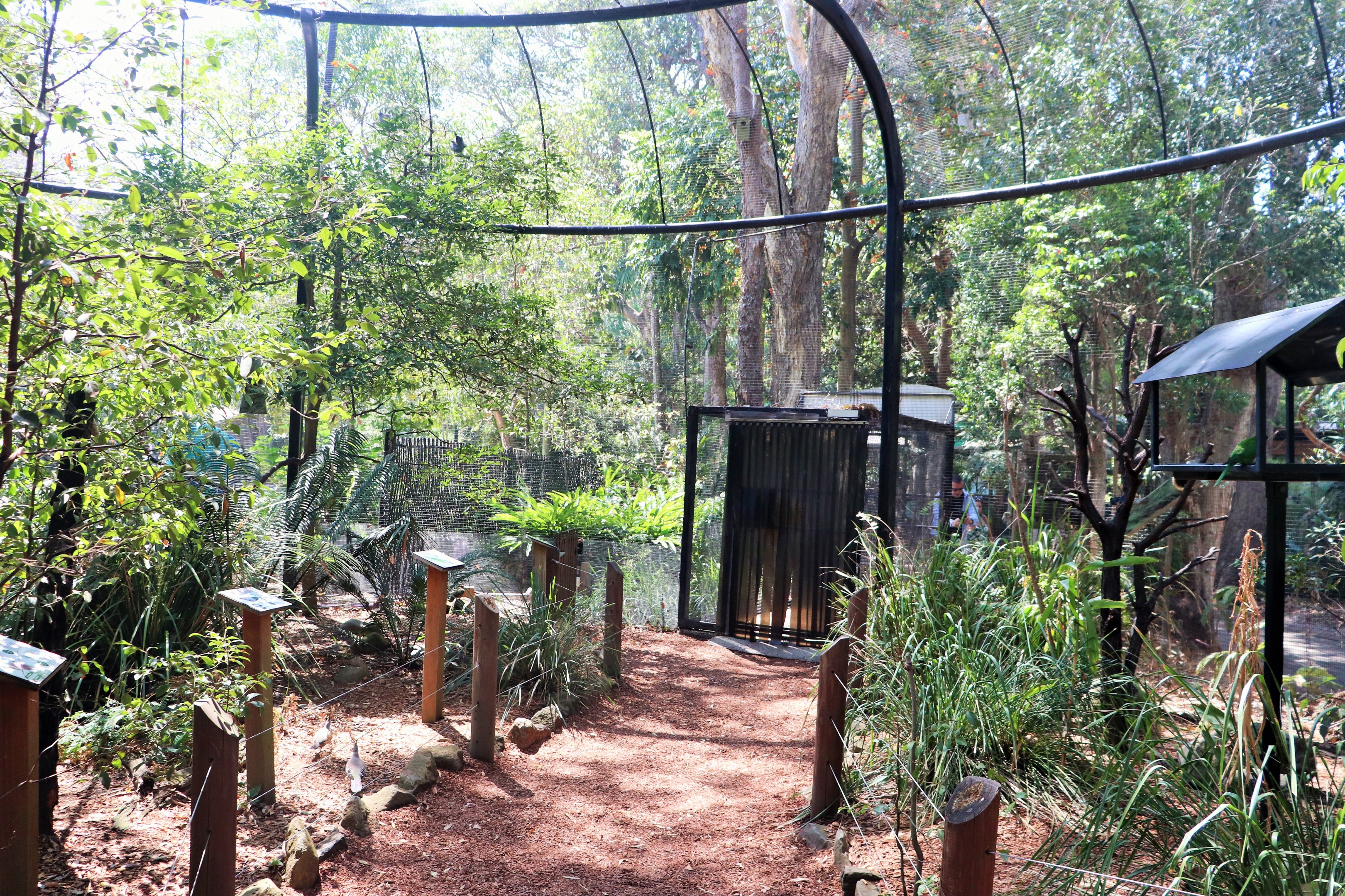Forest Fringe Aviary