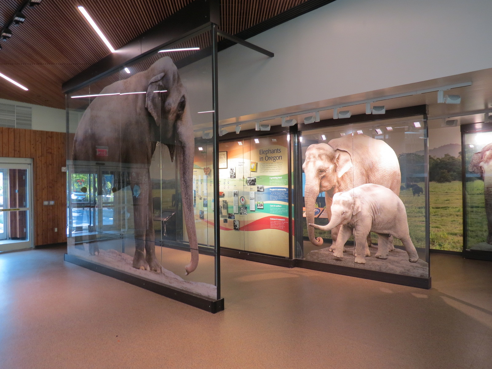 Forest Hall in Elephant Lands