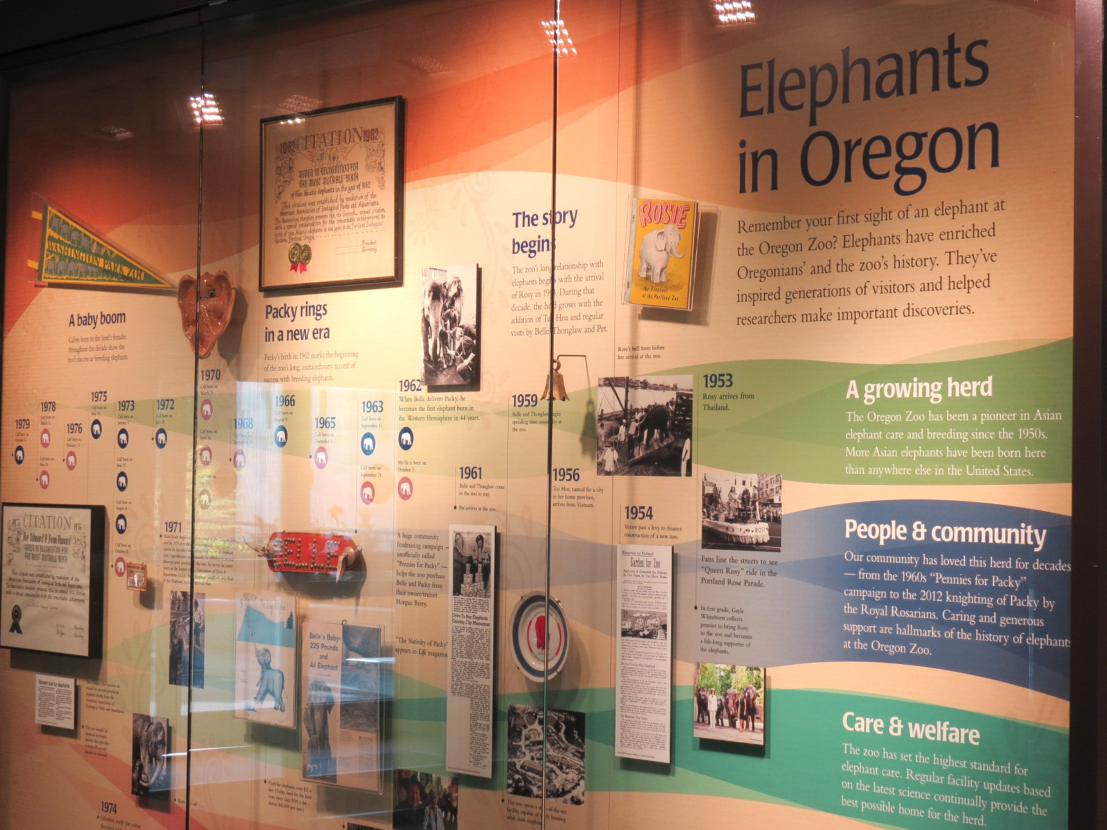 Forest Hall in Elephant Lands