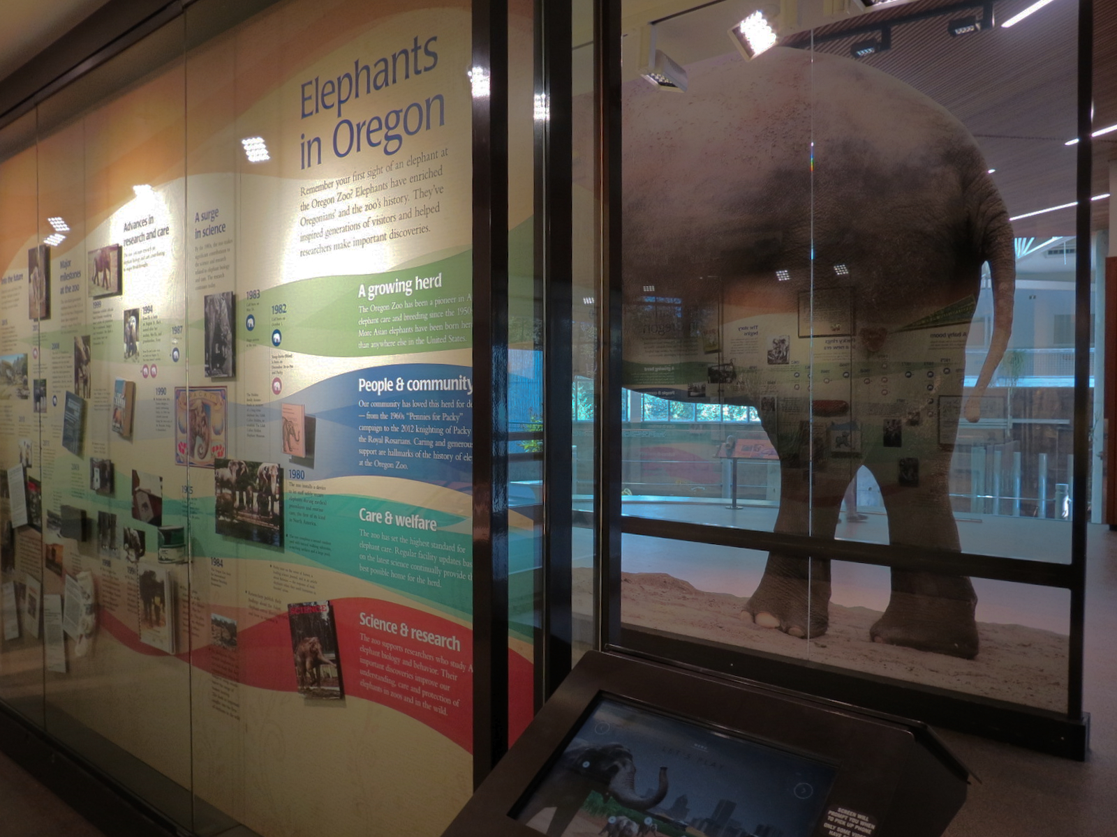 Forest Hall in Elephant Lands