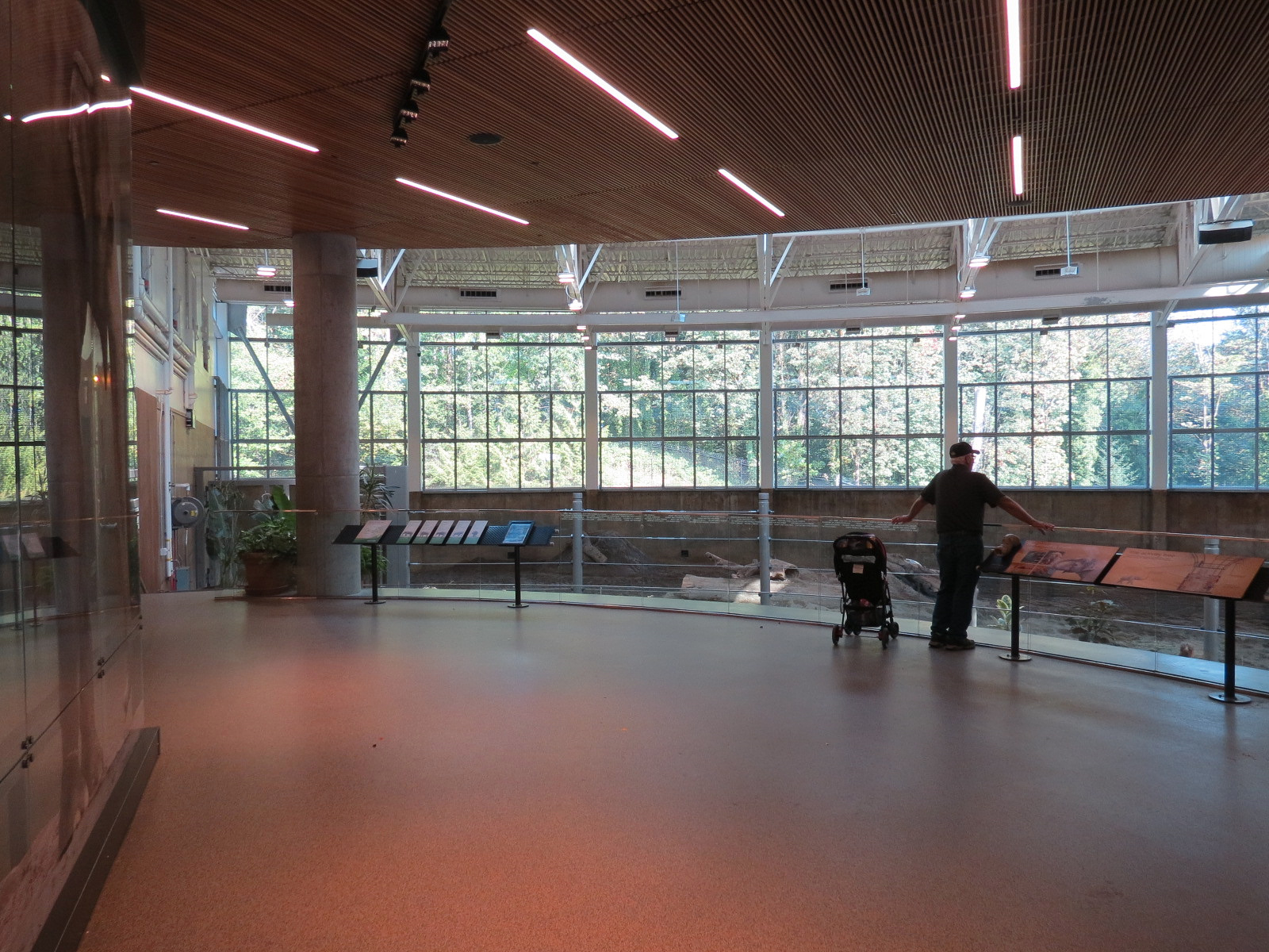 Forest Hall in Elephant Lands