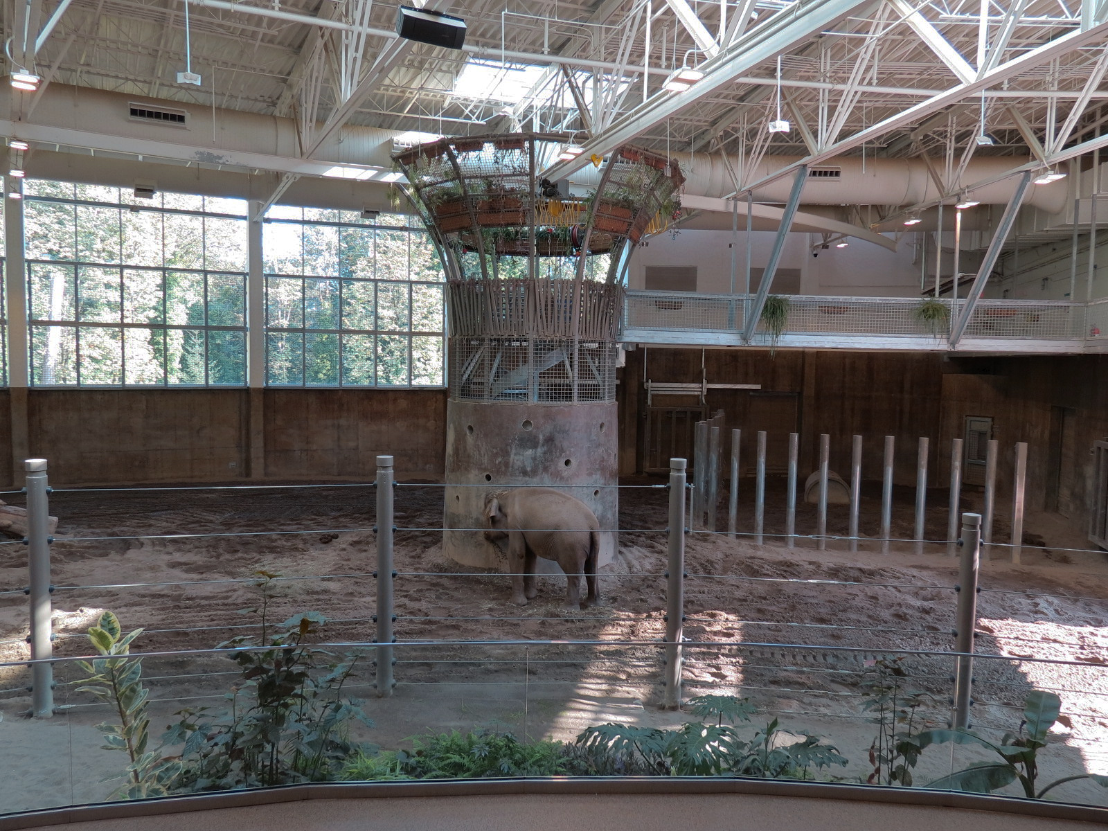 Forest Hall in Elephant Lands