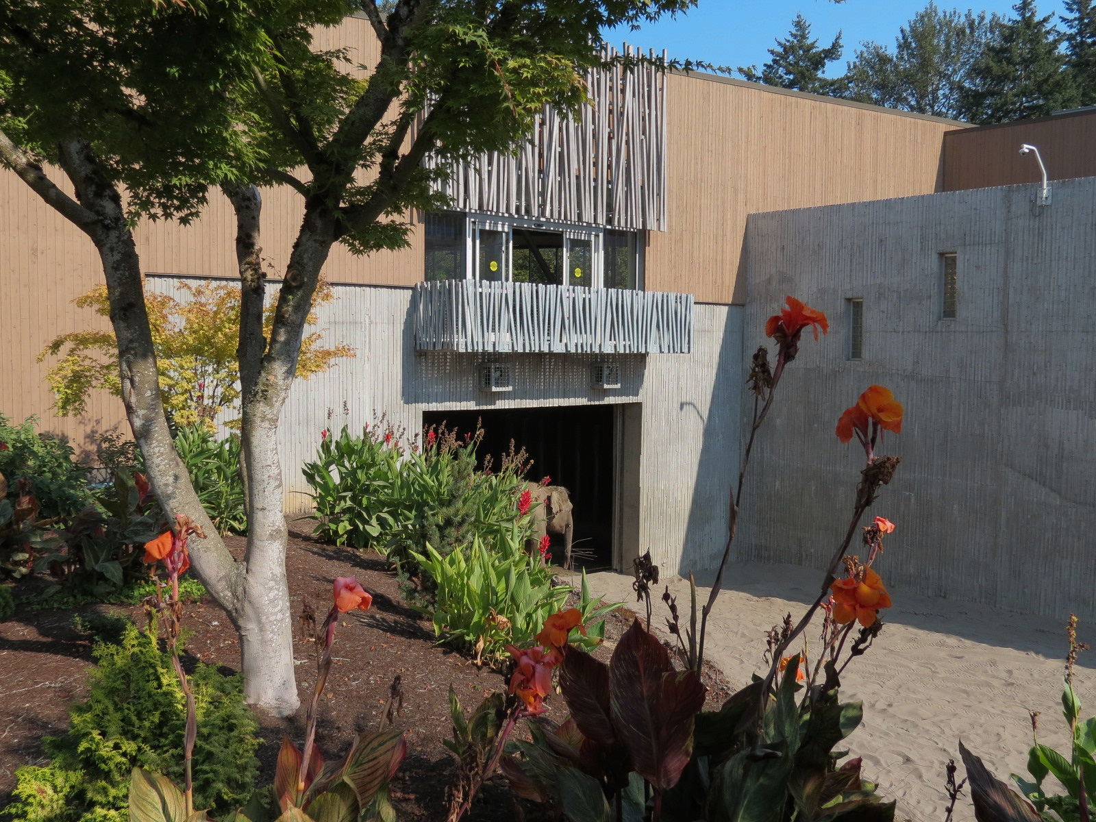 Forest Hall in Elephant Lands