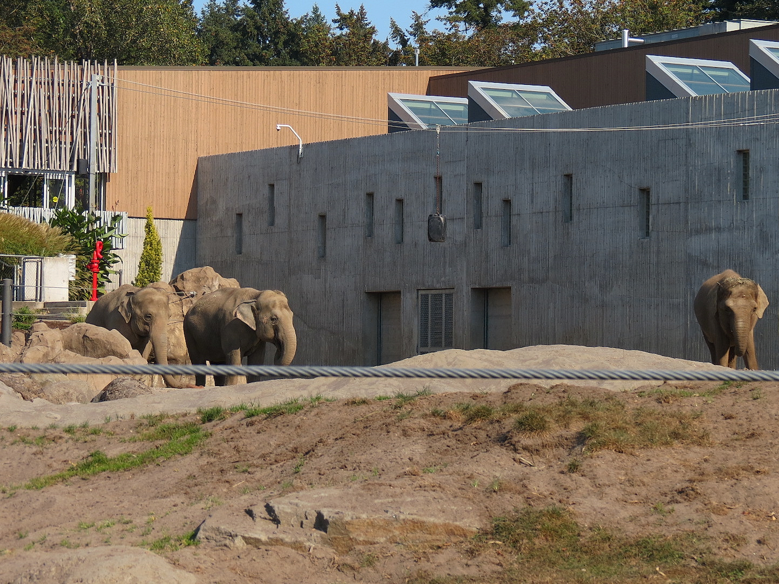Forest Hall in Elephant Lands
