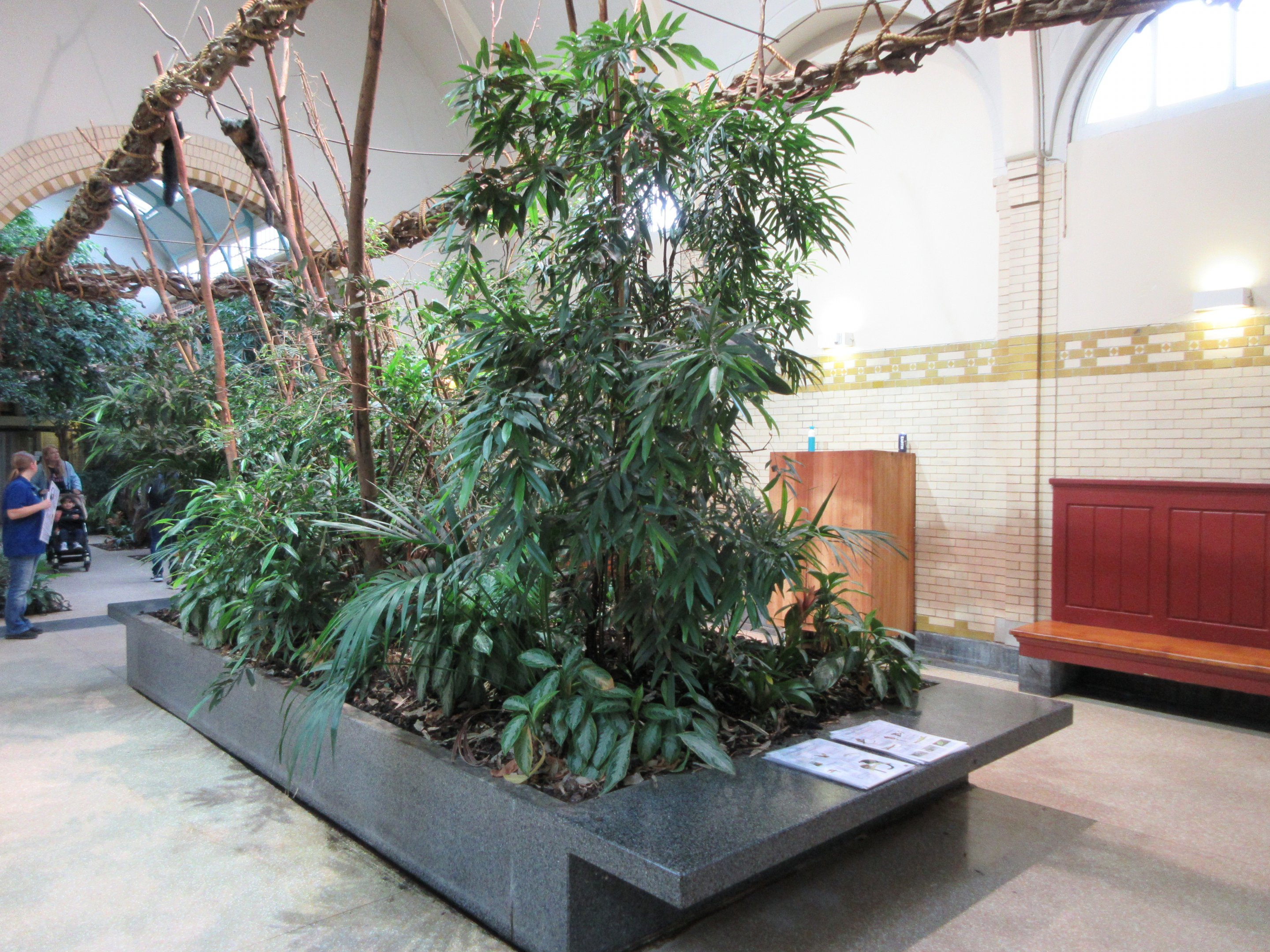 Forest House - First Room (with 10 free-ranging species)