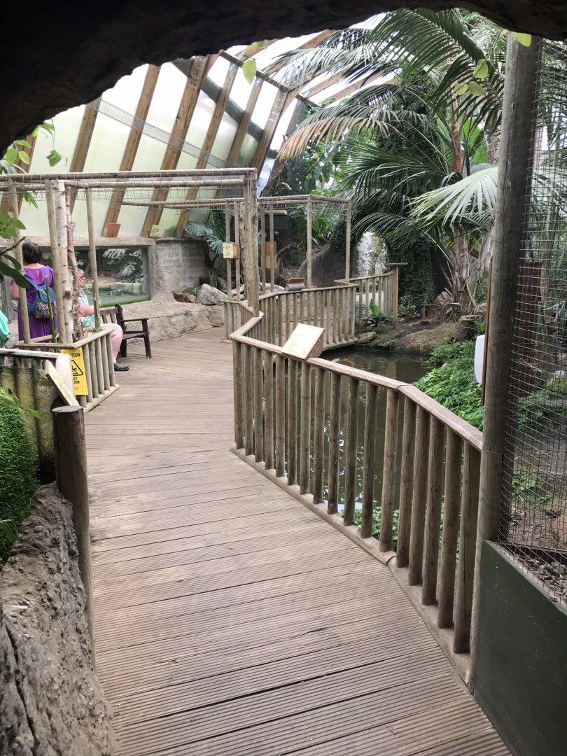 Forest House interior 070819