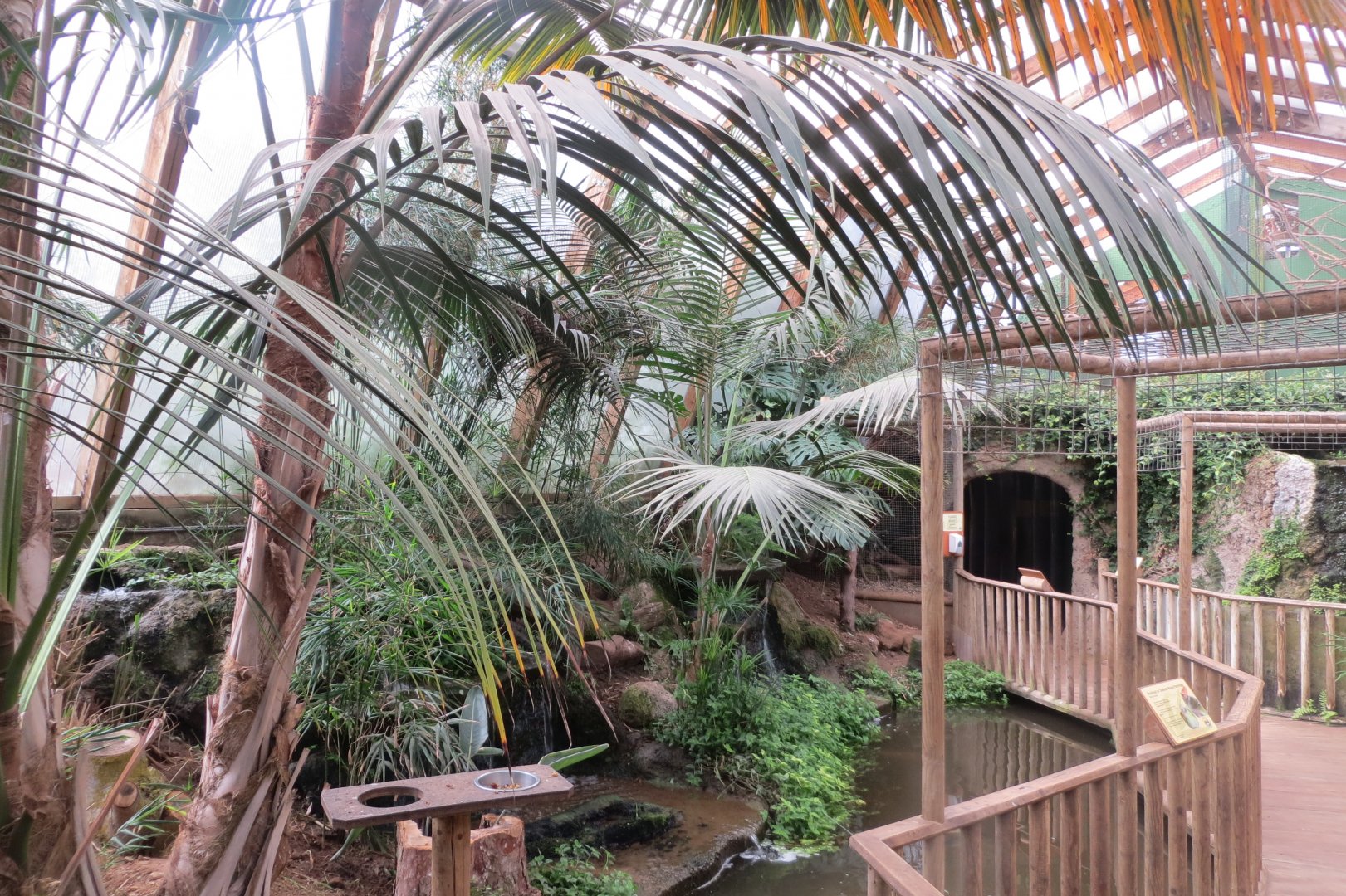 Forest House interior 070819