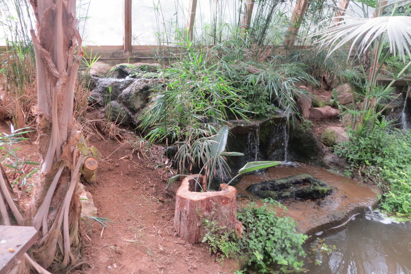 Forest House interior 070819