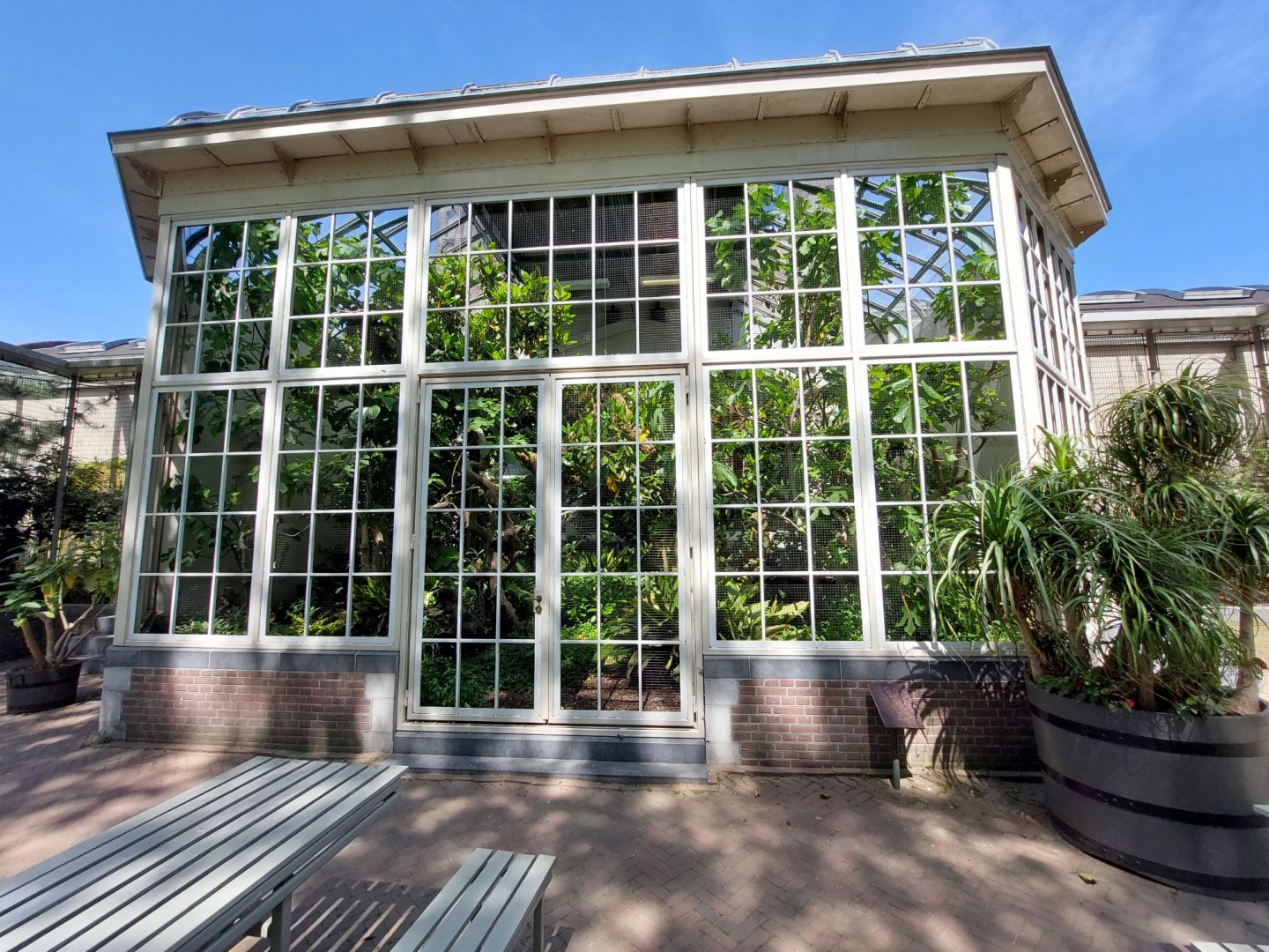 Forest House, Semi-outdoor Forest House Aviary