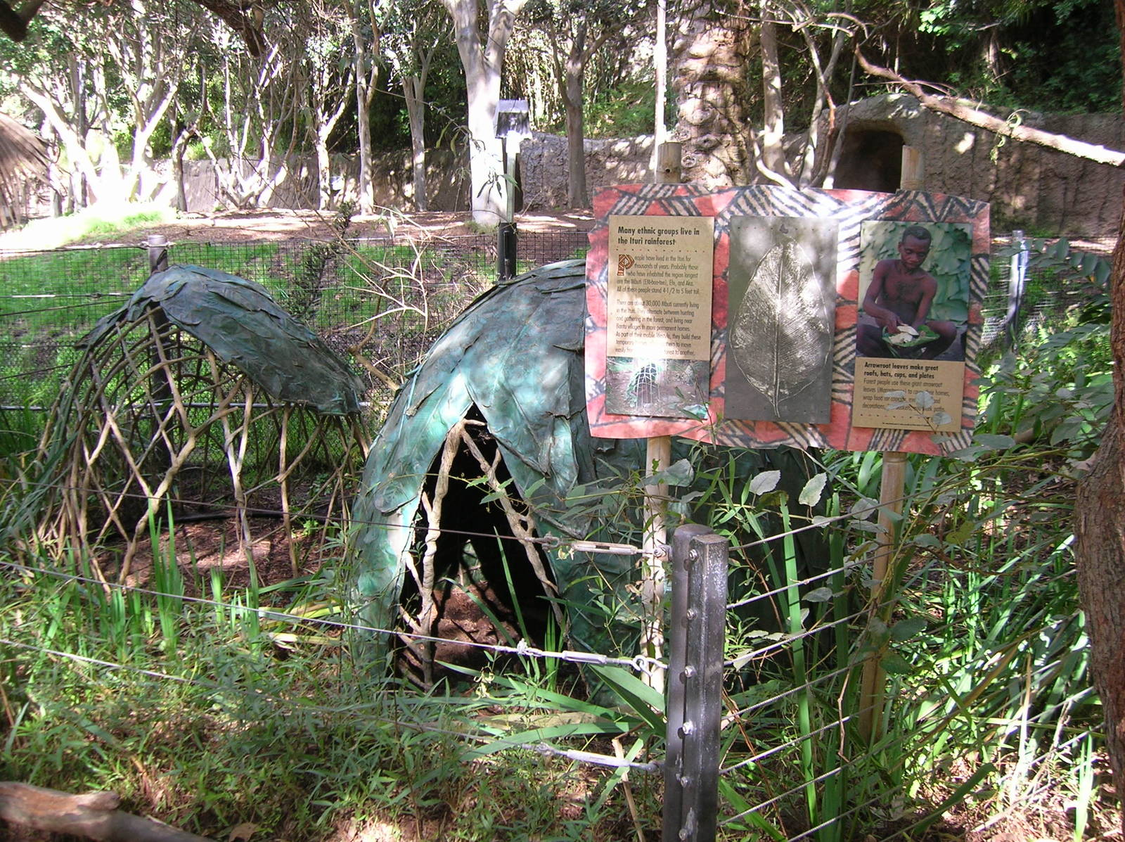 Forest Hut Display 1-19-09