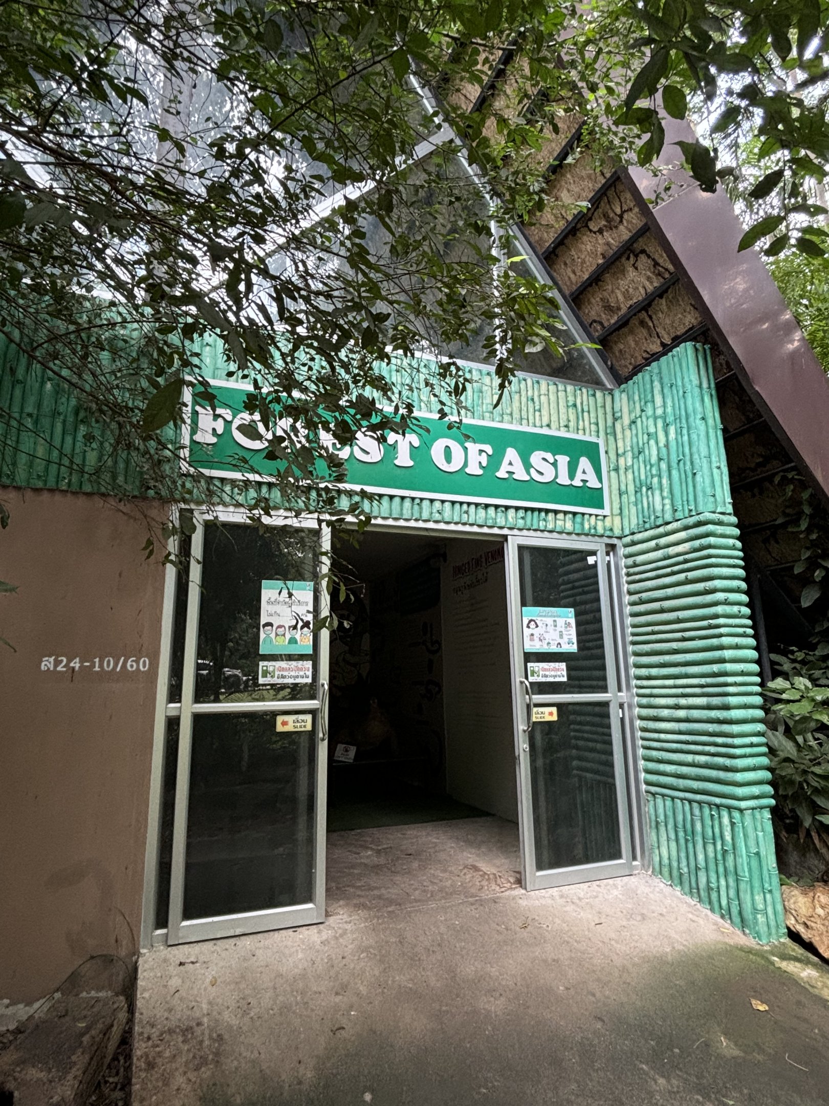 Forest of Asia - entrance
