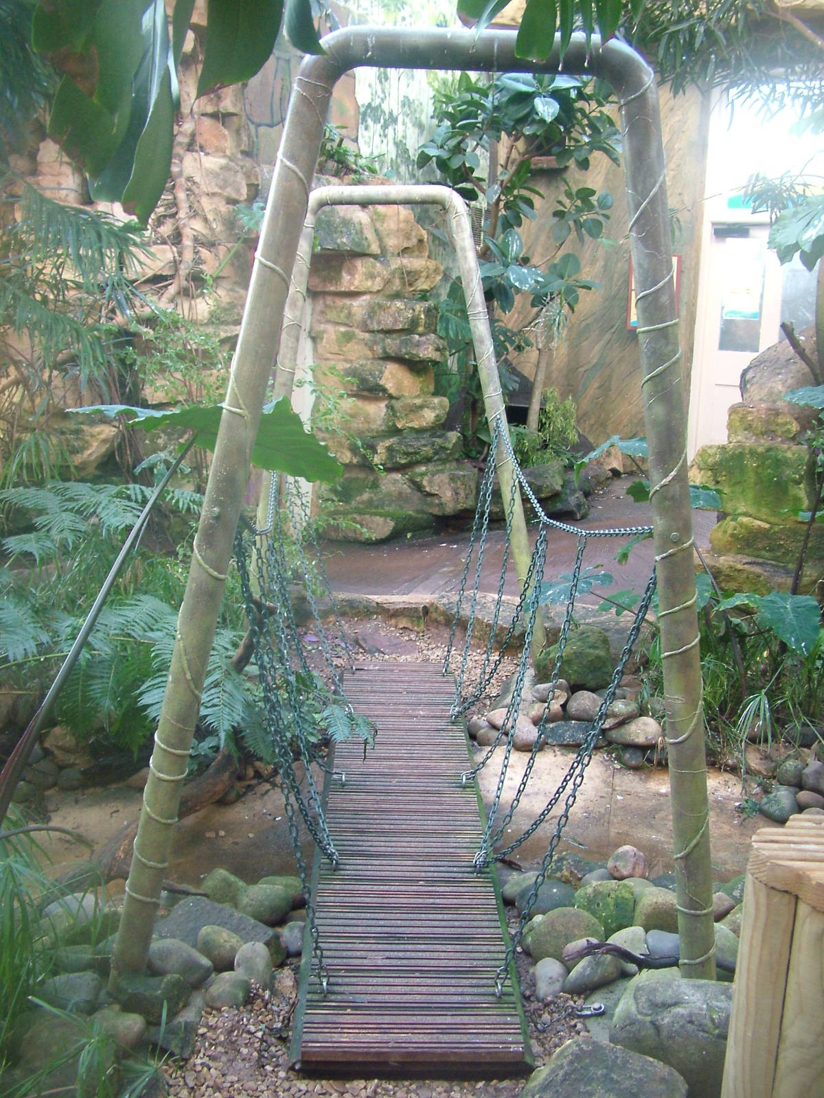 Forest of Birds at Bristol 19/12/09