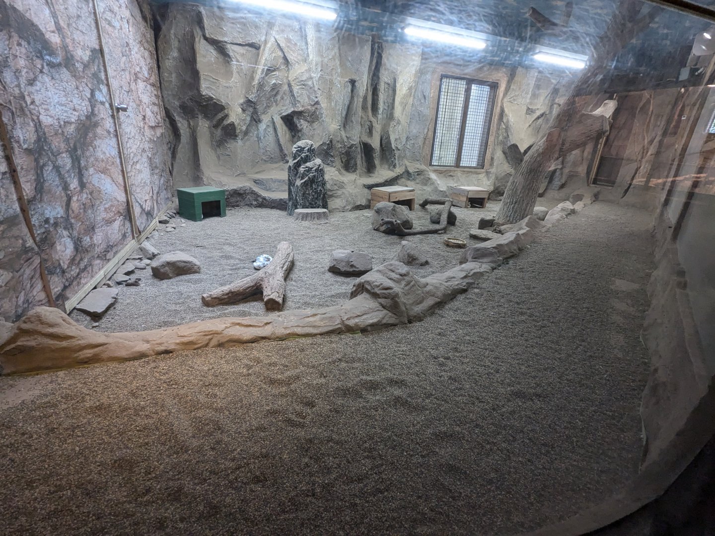 Forest of The Conservation - New Svalbard Rock Ptarmigan Exhibit