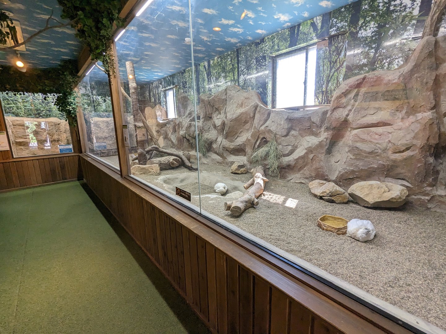 Forest Of The Conservation - Svalbard Rock Ptarmigan Exhibit