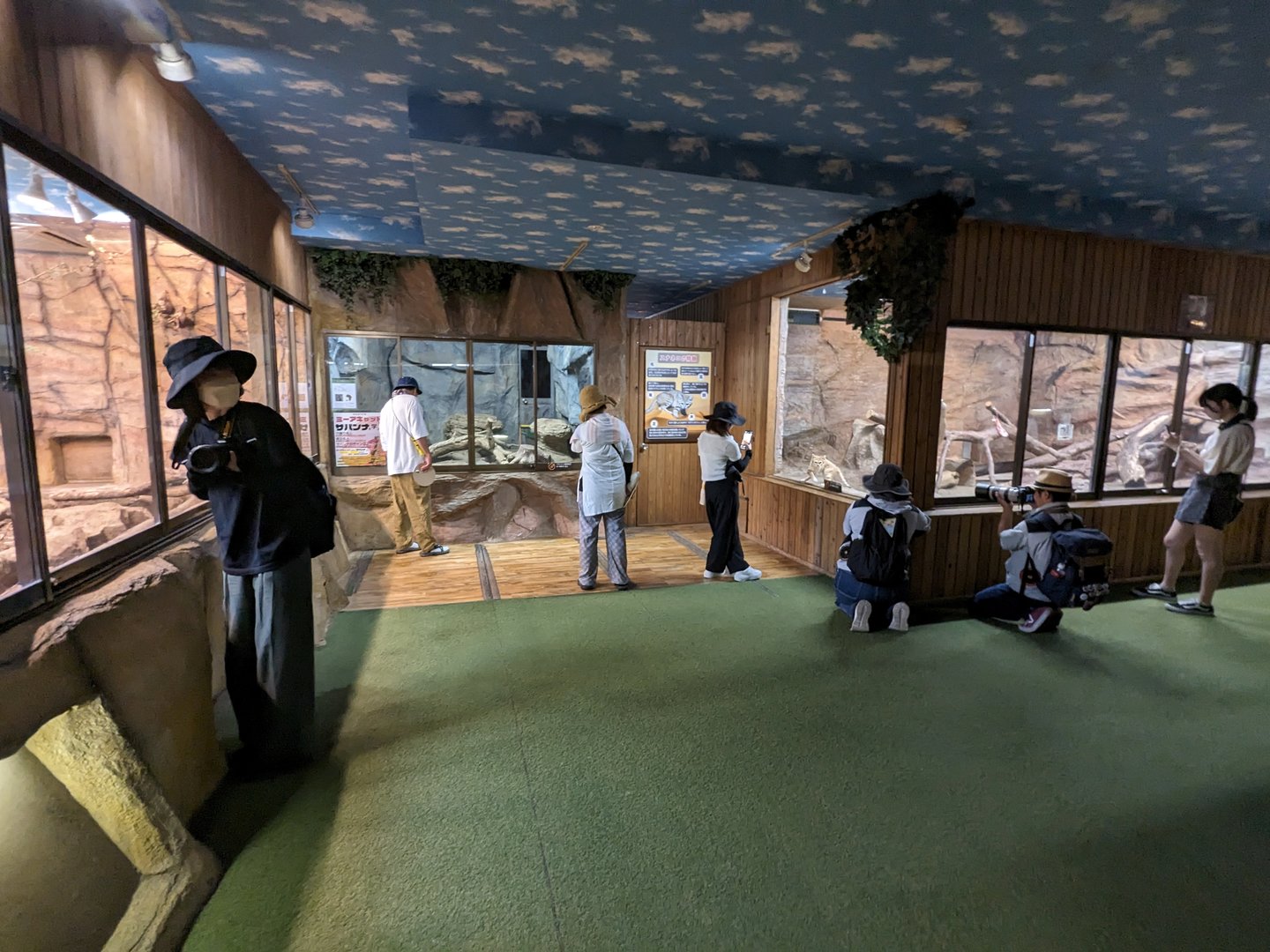 Forest Of The Conservation