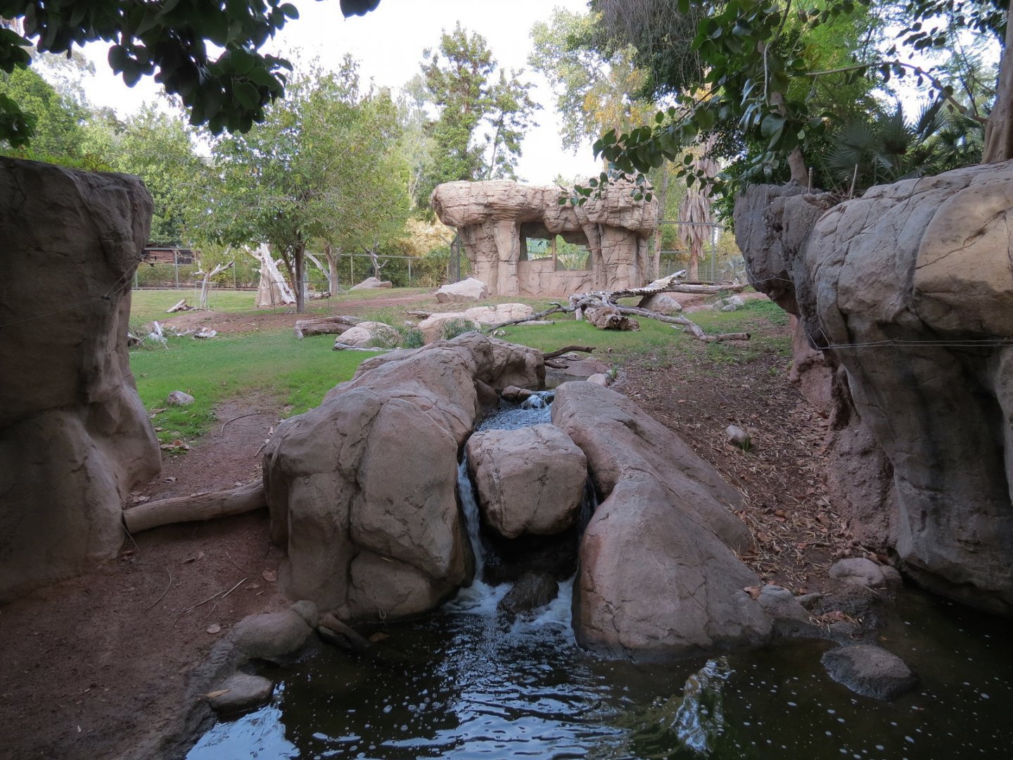 Forest of Uco - Andean Bear Exhibit - First View