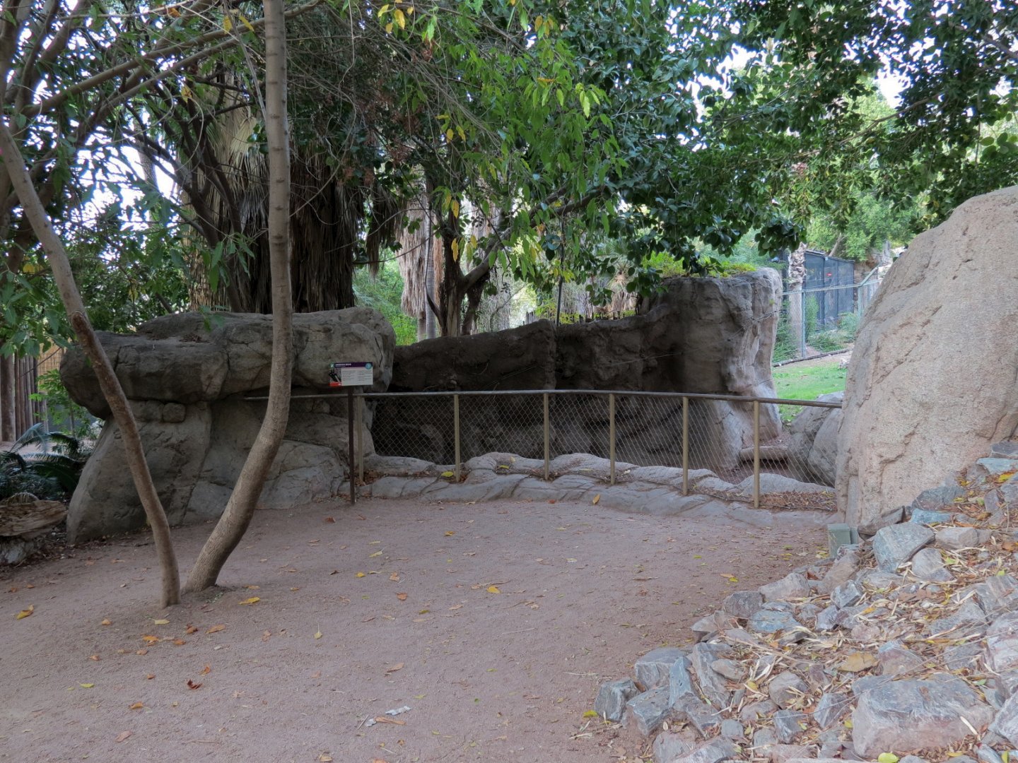 Forest of Uco - Andean Bear Exhibit - First Viewing Area