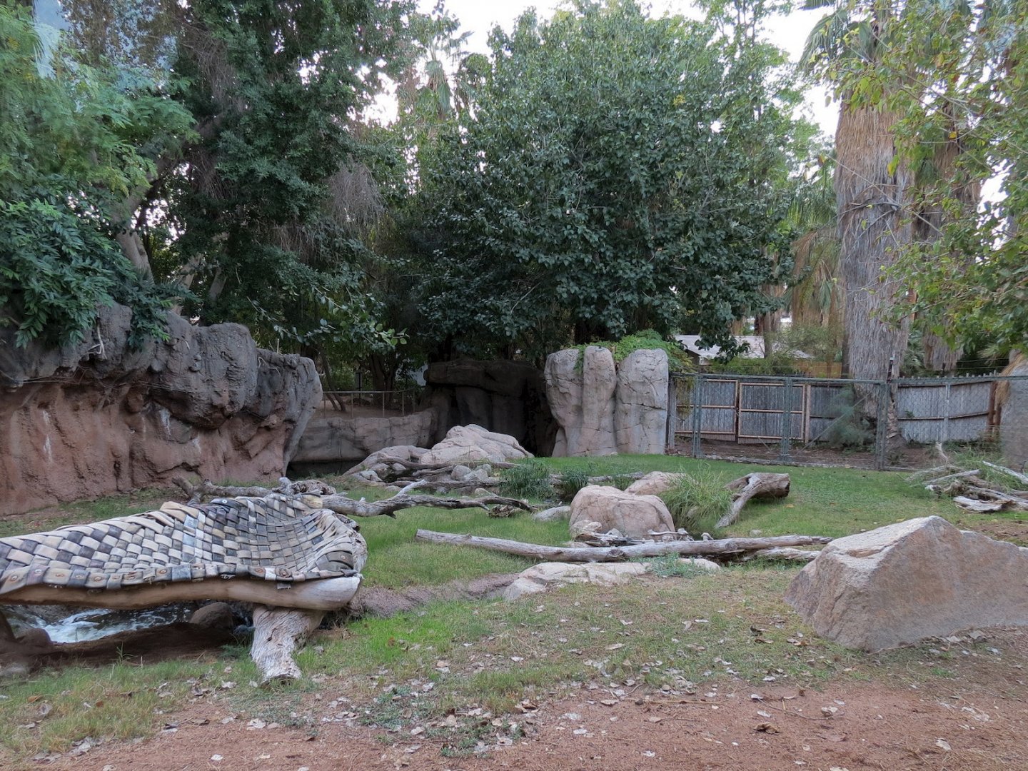 Forest of Uco - Andean Bear Exhibit - Second View