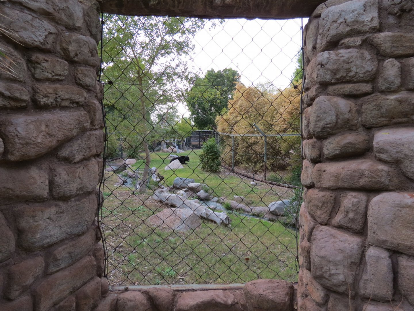 Forest of Uco - Andean Bear Exhibit - Second View