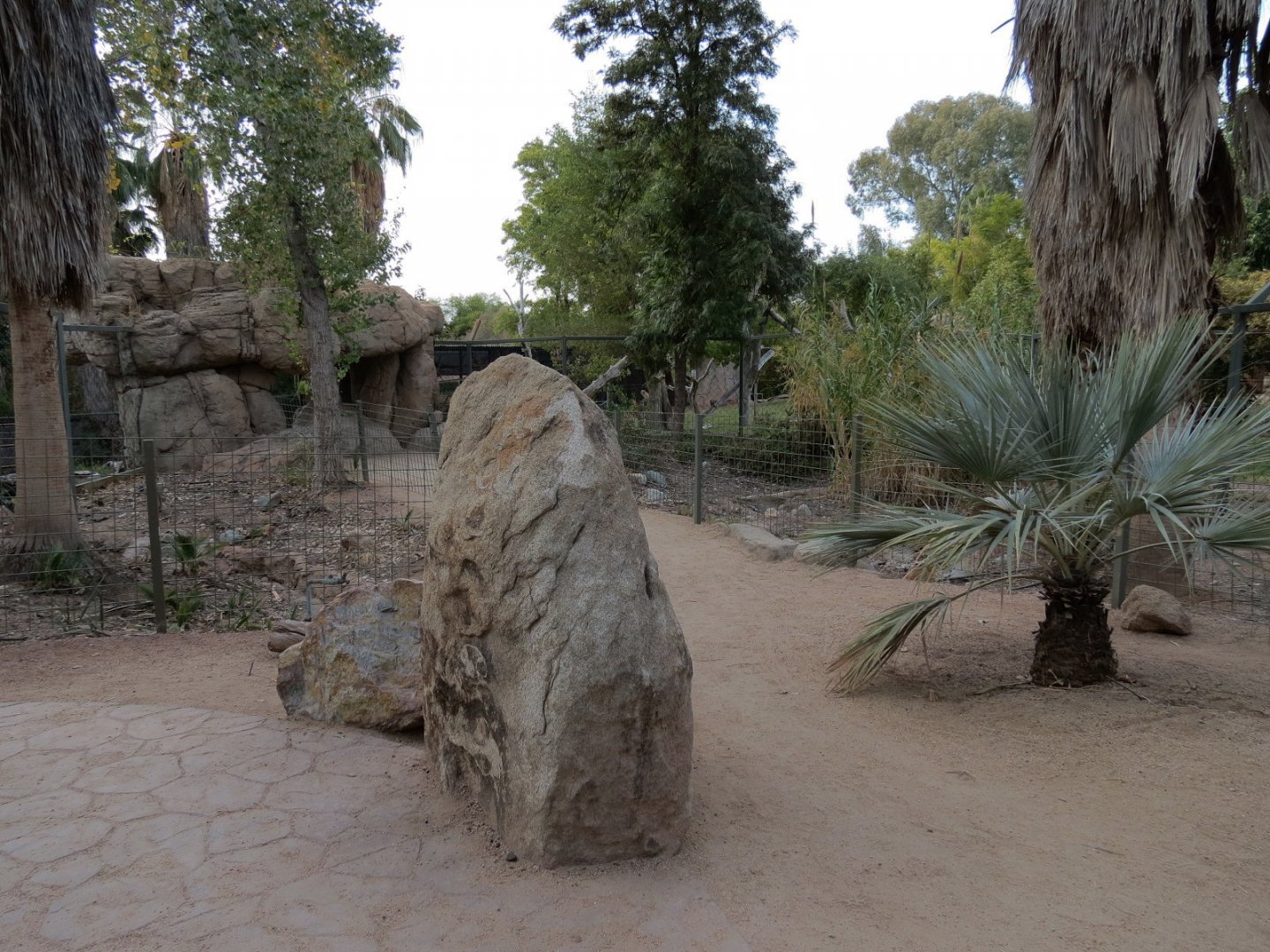 Forest of Uco - Andean Bear Exhibit - Second Viewing Area