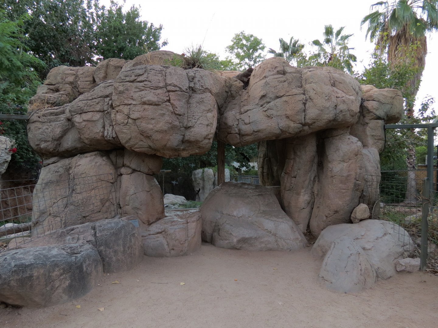 Forest of Uco - Andean Bear Exhibit - Second Viewing Area
