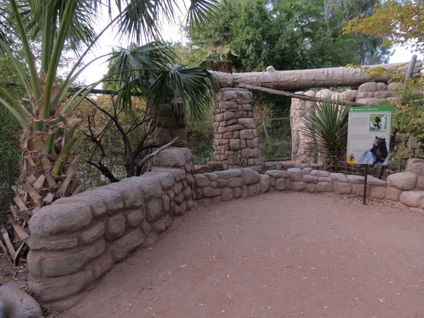 Forest of Uco - Andean Bear Exhibit - Second Viewing Area