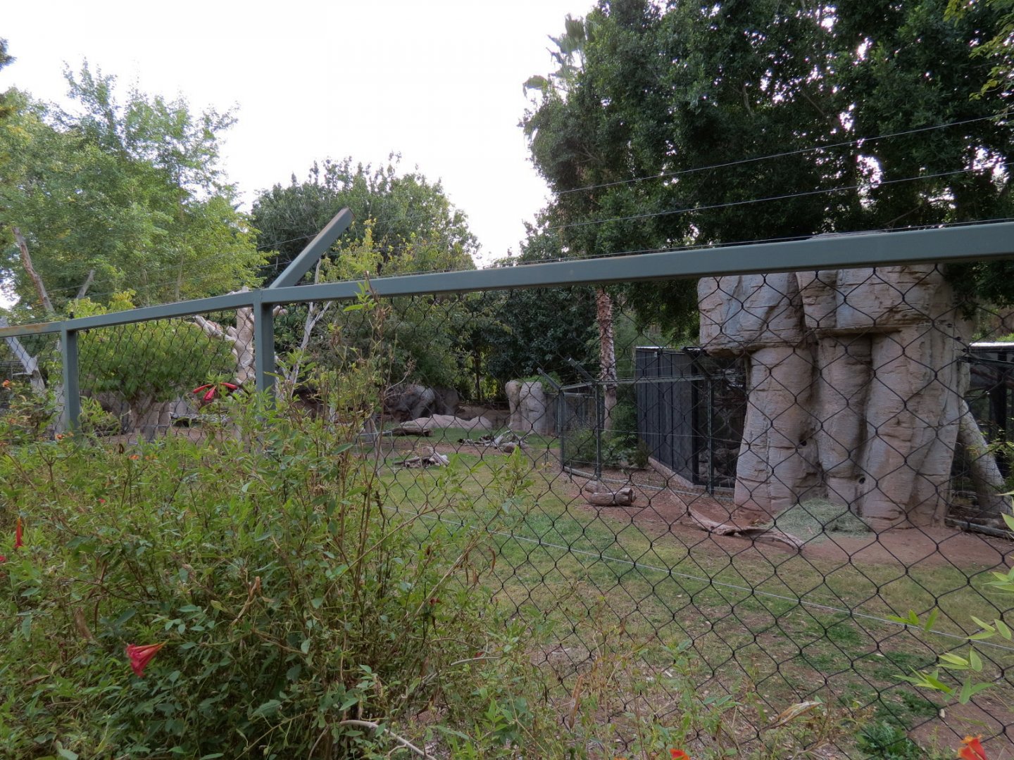 Forest of Uco - Andean Bear Exhibit - Third View