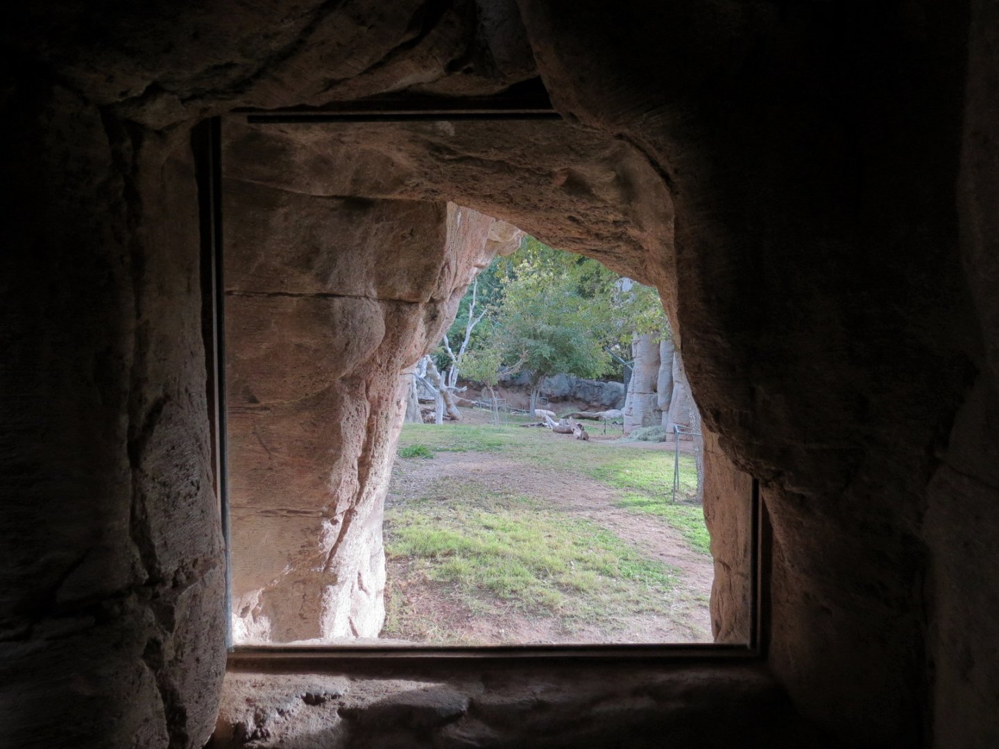 Forest of Uco - Andean Bear Exhibit - Third View