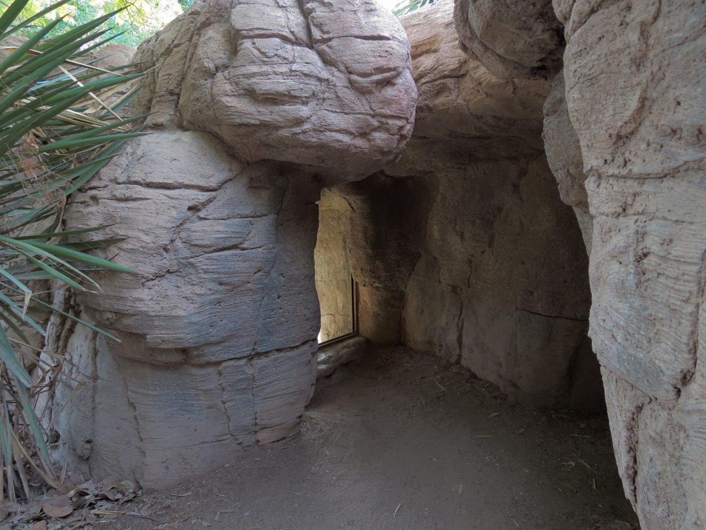 Forest of Uco - Andean Bear Exhibit - Third Viewing Area